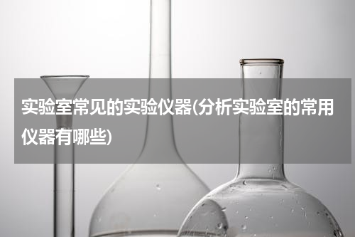 实验室常见的实验仪器(分析实验室的常用仪器有哪些)