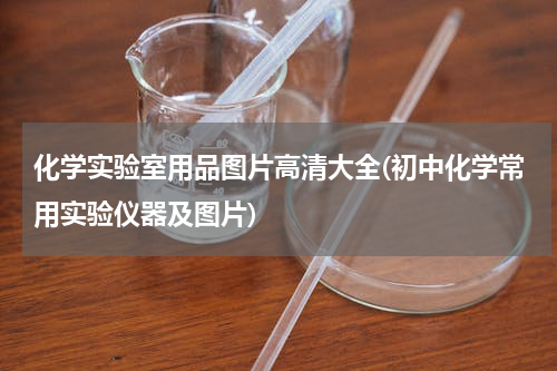 化学实验室用品图片高清大全(初中化学常用实验仪器及图片)