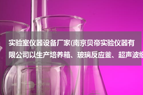 实验室仪器设备厂家(南京贝帝实验仪器有限公司以生产培养箱、玻璃反应釜、超声波细胞破碎仪、雪花制冰机、冷冻干燥机、油槽等)