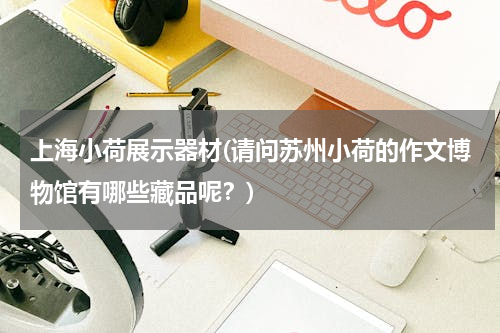 上海小荷展示器材(请问苏州小荷的作文博物馆有哪些藏品呢？)