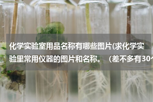 化学实验室用品名称有哪些图片(求化学实验里常用仪器的图片和名称。（差不多有30个）)