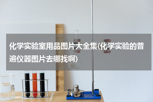 化学实验室用品图片大全集(化学实验的普遍仪器图片去哪找啊)