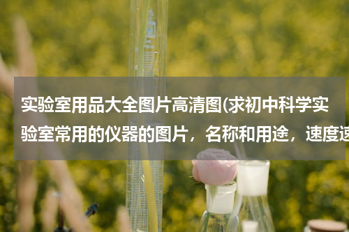 实验室用品大全图片高清图(求初中科学实验室常用的仪器的图片，名称和用途，速度速度！！！)