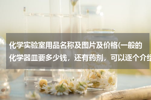 化学实验室用品名称及图片及价格(一般的化学器皿要多少钱，还有药剂，可以逐个介绍一下吗（常用的）？)