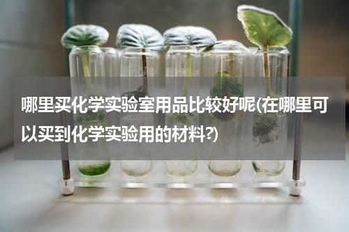 哪里买化学实验室用品比较好呢(在哪里可以买到化学实验用的材料?)