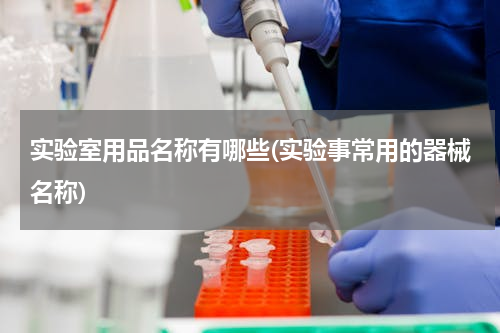 实验室用品名称有哪些(实验事常用的器械名称)