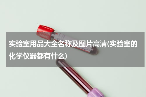 实验室用品大全名称及图片高清(实验室的化学仪器都有什么)