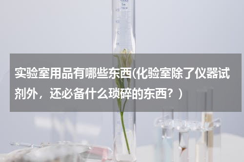 实验室用品有哪些东西(化验室除了仪器试剂外，还必备什么琐碎的东西？)
