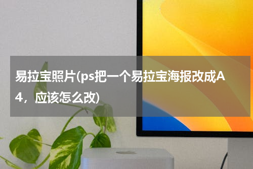 易拉宝照片(ps把一个易拉宝海报改成A4，应该怎么改)