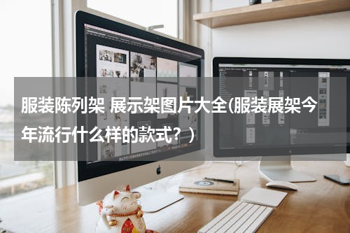 服装陈列架 展示架图片大全(服装展架今年流行什么样的款式？)