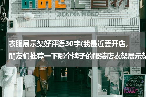 衣服展示架好评语30字(我最近要开店，朋友们推荐一下哪个牌子的服装店衣架展示架好？我在上海)