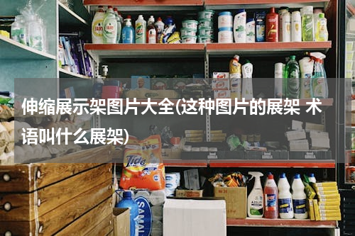 伸缩展示架图片大全(这种图片的展架 术语叫什么展架)
