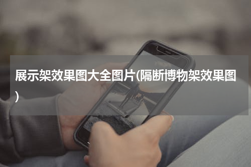 展示架效果图大全图片(隔断博物架效果图)