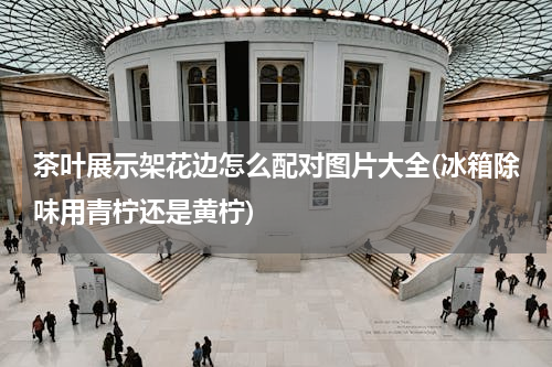 茶叶展示架花边怎么配对图片大全(冰箱除味用青柠还是黄柠)