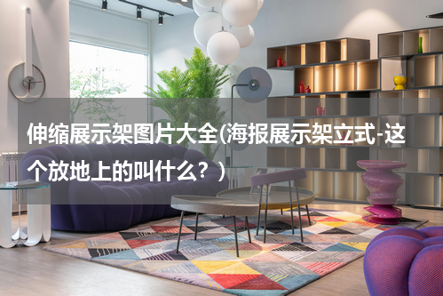 伸缩展示架图片大全(海报展示架立式-这个放地上的叫什么？)