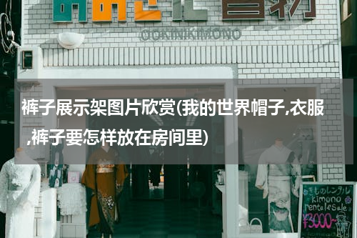 裤子展示架图片欣赏(我的世界帽子,衣服 ,裤子要怎样放在房间里)