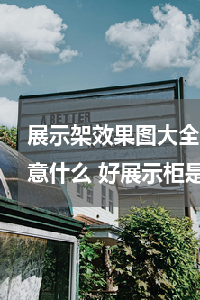 展示架效果图大全图片(展示柜制作需要注意什么 好展示柜是怎样炼成的)