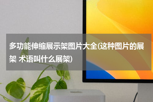 多功能伸缩展示架图片大全(这种图片的展架 术语叫什么展架)
