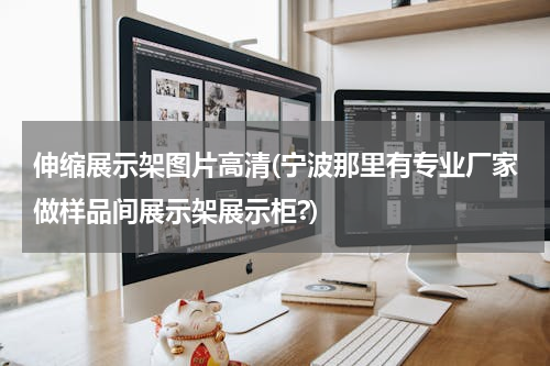 伸缩展示架图片高清(宁波那里有专业厂家做样品间展示架展示柜?)
