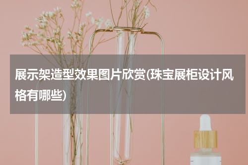 展示架造型效果图片欣赏(珠宝展柜设计风格有哪些)