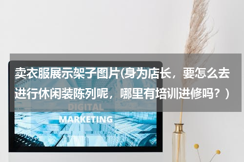 卖衣服展示架子图片(身为店长，要怎么去进行休闲装陈列呢，哪里有培训进修吗？)