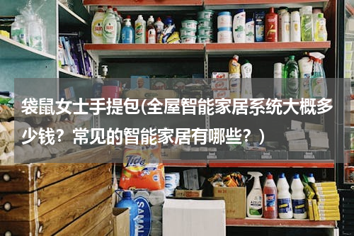 袋鼠女士手提包(全屋智能家居系统大概多少钱？常见的智能家居有哪些？)