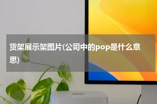 货架展示架图片(公司中的pop是什么意思)
