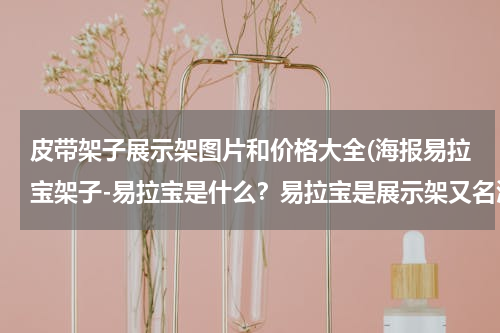 皮带架子展示架图片和价格大全(海报易拉宝架子-易拉宝是什么？易拉宝是展示架又名海报架)